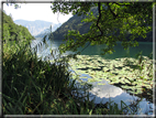 foto Lago di Levico